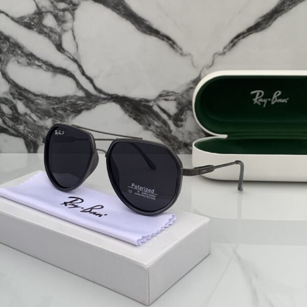 Branded Sunglasses RB 301 grey black(With Original kit)