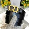 CD DIO_R Lady Belt D36