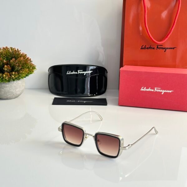 Salvatore_Ferragamo_3919_Silver_Brown_Dc