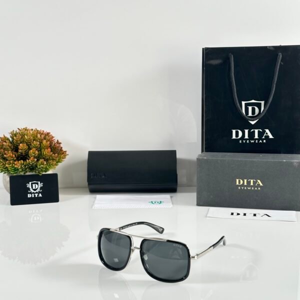 Dita 8377 Silver Black