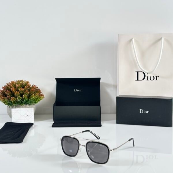 Dior_6639_Silver_Black