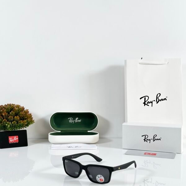Rayban 4393 Mate Black