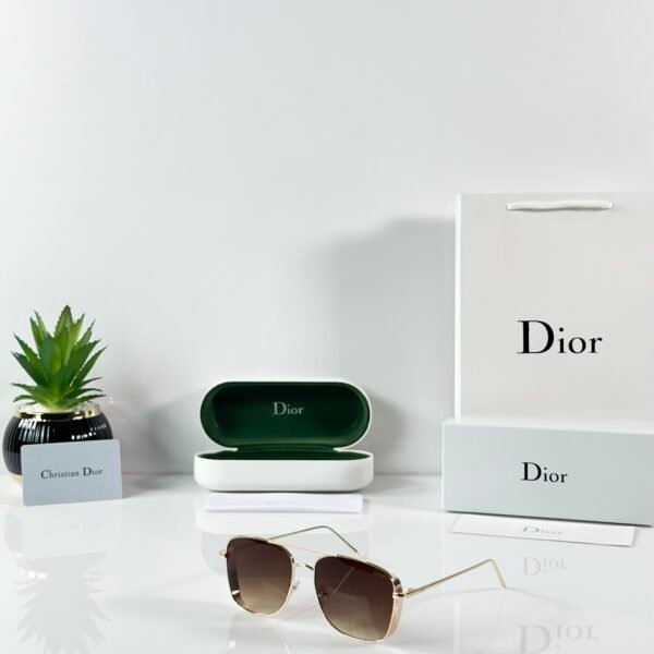 Dior_8287_Gold_Brown_DC