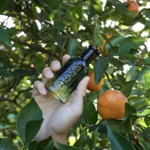 HUGO BOOS bottled vold citrus