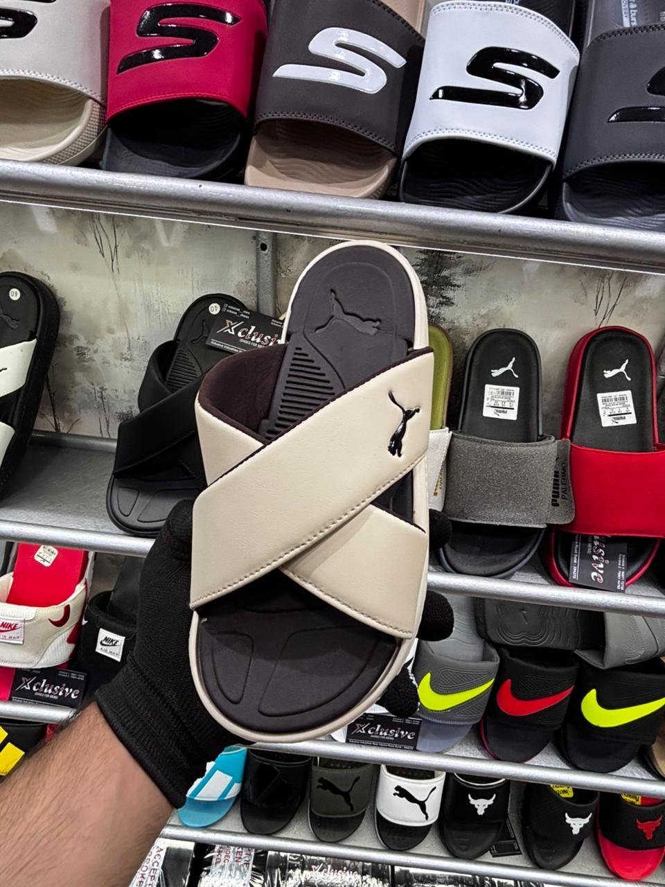 PUMA LATEST EDITION.