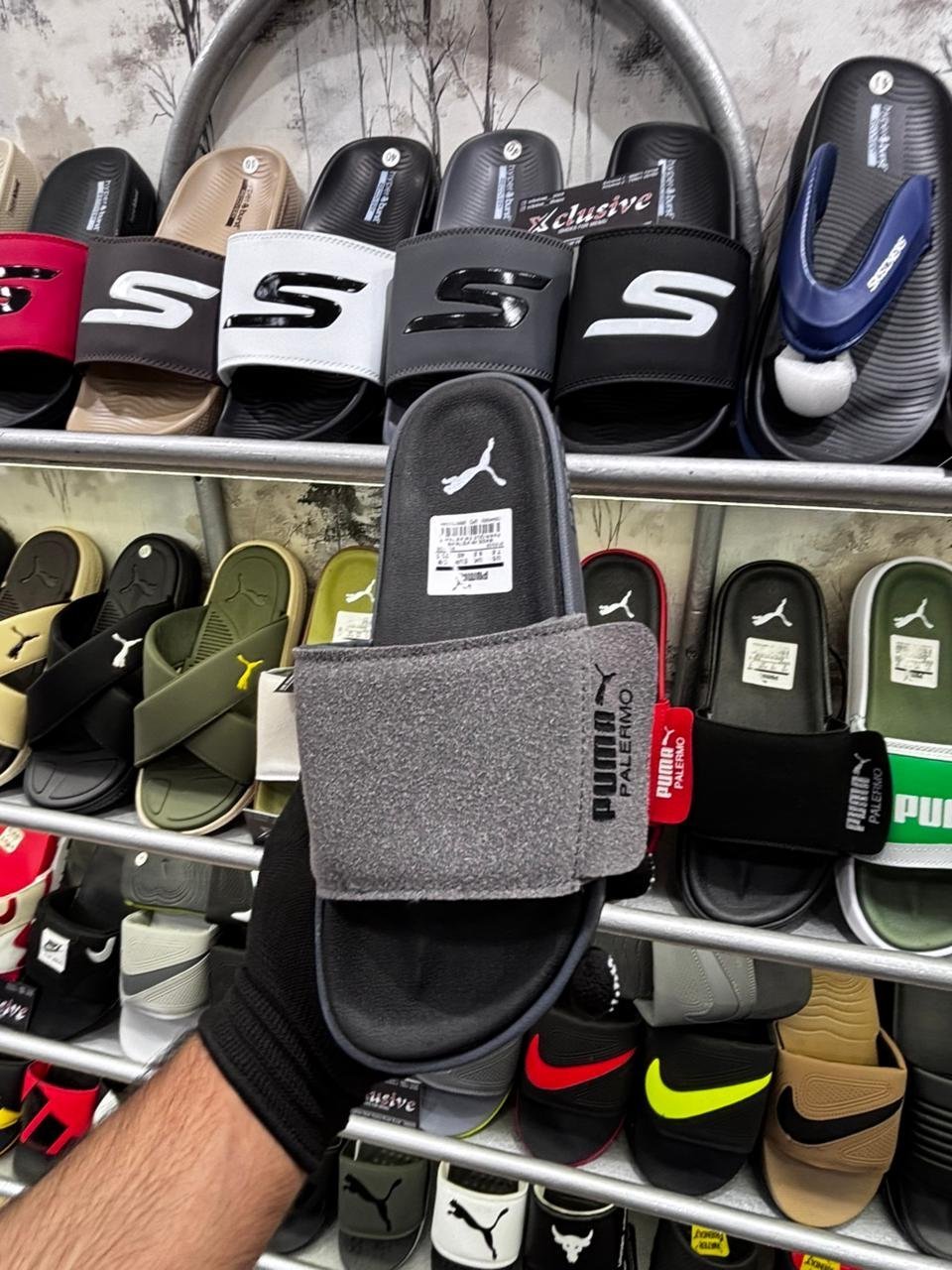 PUMA LATEST EDITION.