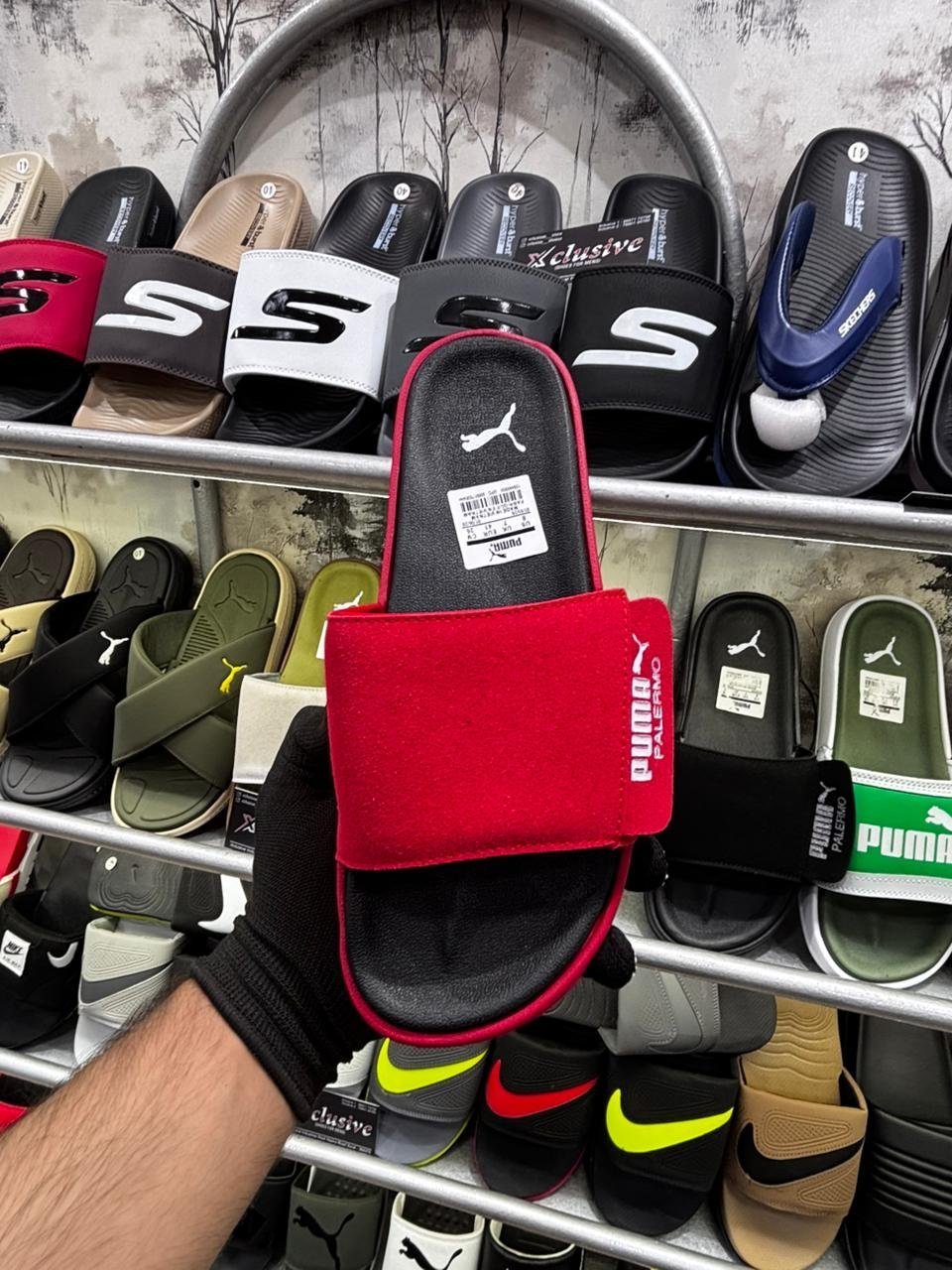 PUMA LATEST EDITION.