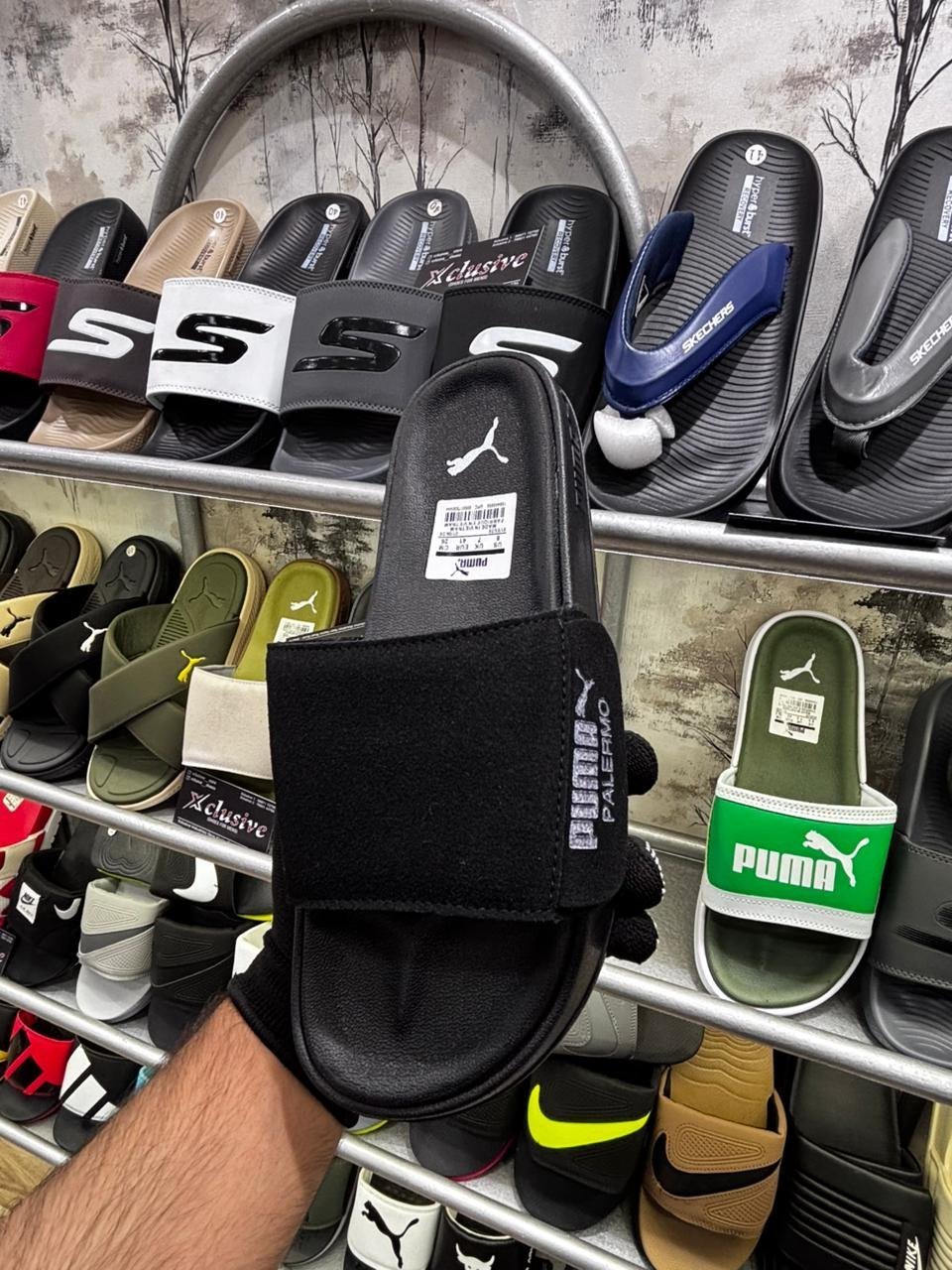 PUMA LATEST EDITION.